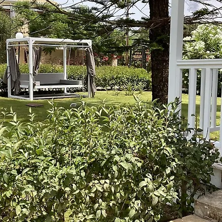 Clelia * Vasilikos (Zakynthos)