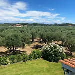 Clelia Apartman *