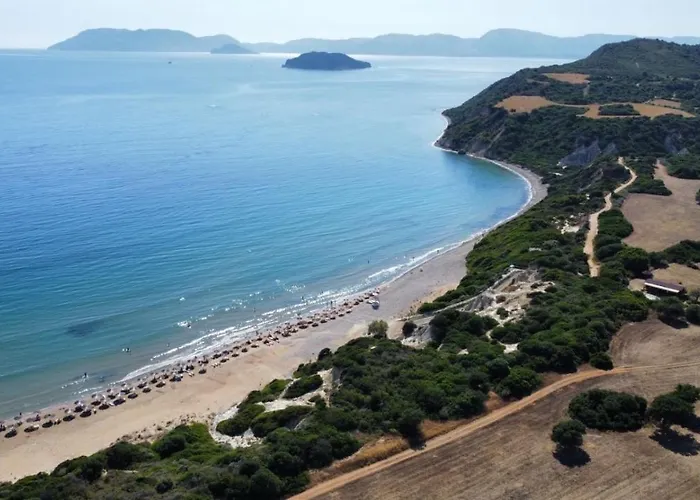 Clelia Daire Vasilikí