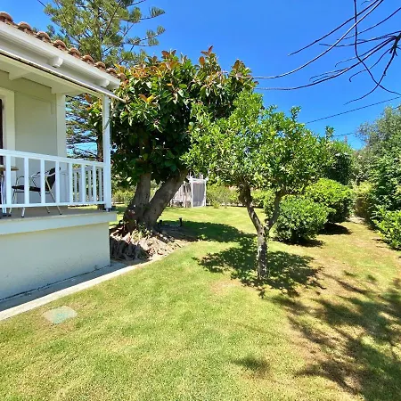 Clelia Apartamento *